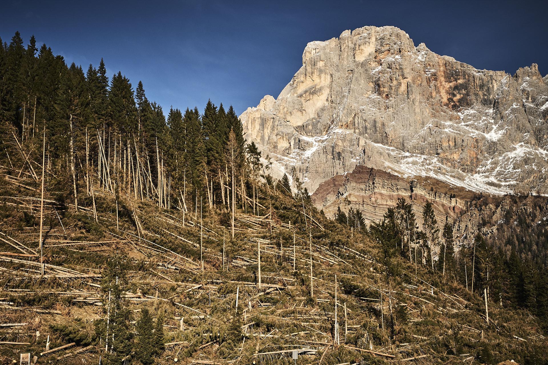 Foto di Giorgio Rosati